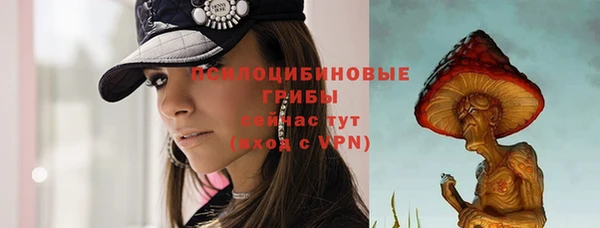 СК Алзамай