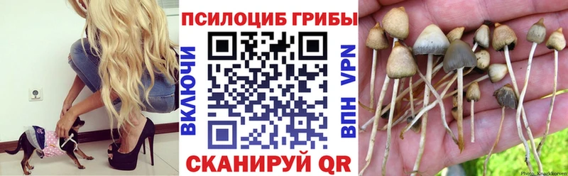 Галлюциногенные грибы Cubensis  что такое наркотик  Николаевск-на-Амуре 